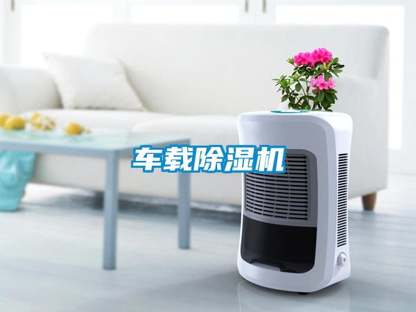 車載91看片在线下载機