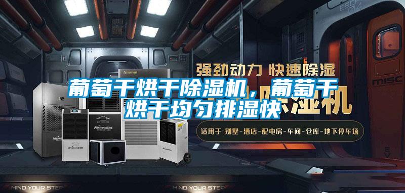 葡萄幹烘幹91看片在线下载機，葡萄幹烘幹均勻排濕快