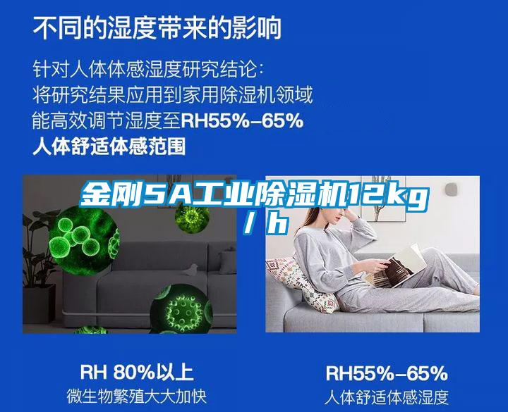 金剛5A工業91看片在线下载機12kg／h