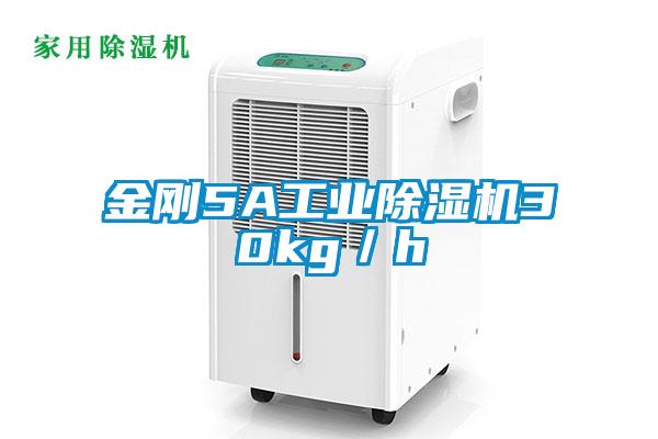 金剛5A工業91看片在线下载機30kg／h