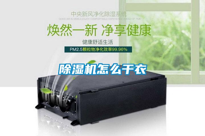 91看片在线下载機怎麽幹衣