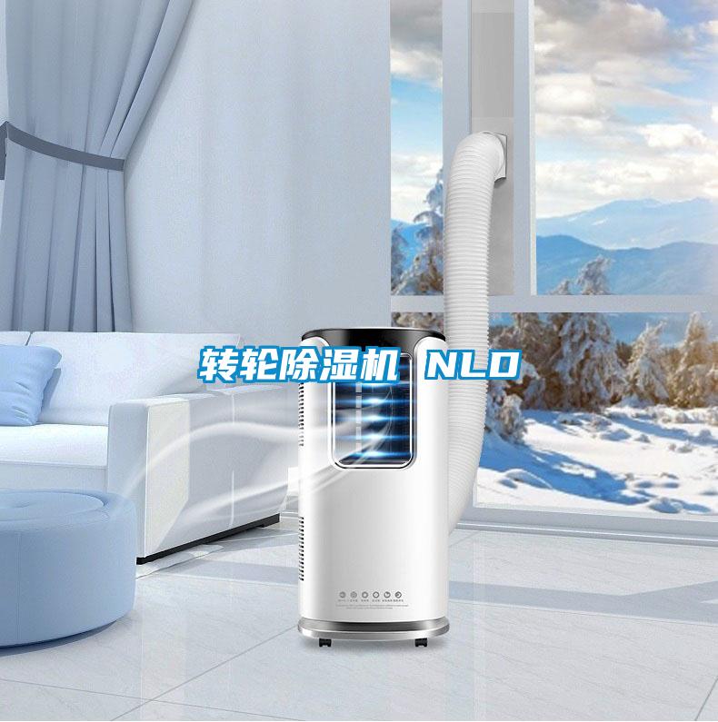 轉輪91看片在线下载機 NLD