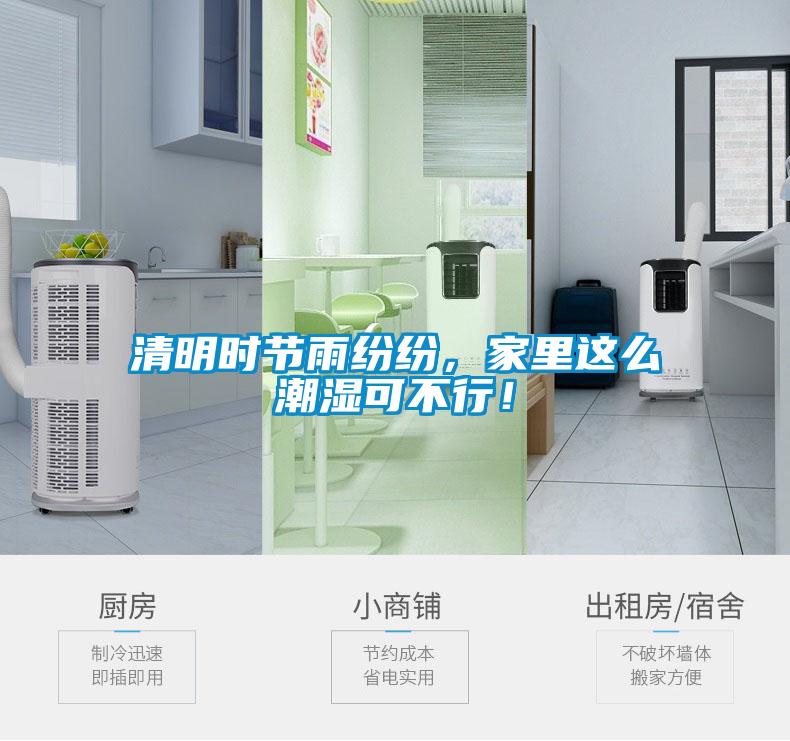 清明時節雨紛紛，家裏這麽潮濕可不行！