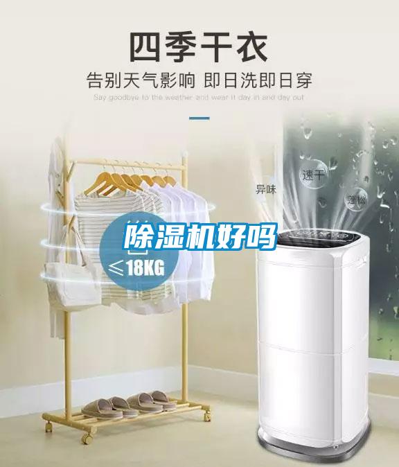 91看片在线下载機好嗎