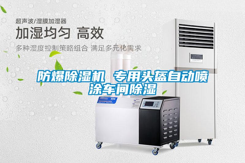 防爆91看片在线下载機 專用頭盔自動噴塗車間91看片在线下载