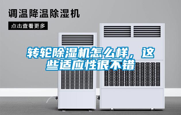 轉輪91看片在线下载機怎麽樣，這些適應性很不錯