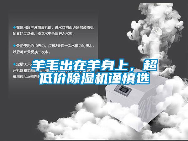 羊毛出在羊身上，超低價91看片在线下载機謹慎選