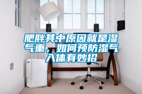 肥胖其中原因就是濕氣重，如何預防濕氣入體有妙招