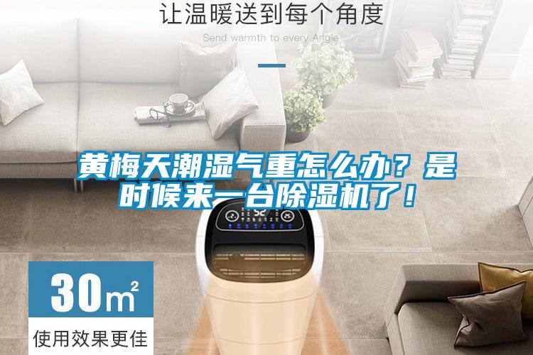 黃梅天潮濕氣重怎麽辦？是時候來一台91看片在线下载機了！
