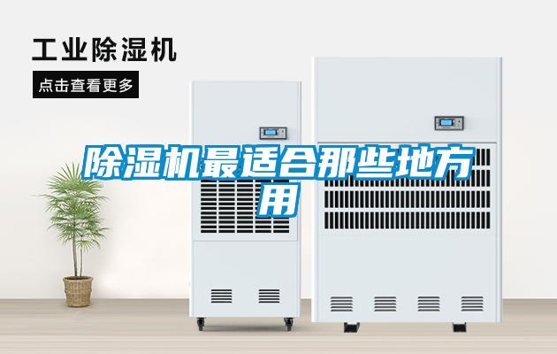 91看片在线下载機最適合那些地方用