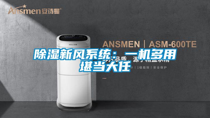 91看片在线下载新風係統：一機多用堪當大任