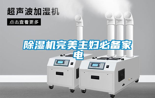 91看片在线下载機完美主婦必備家電