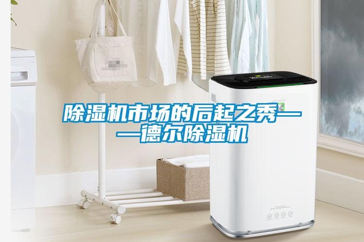 91看片在线下载機市場的後起之秀——德爾91看片在线下载機
