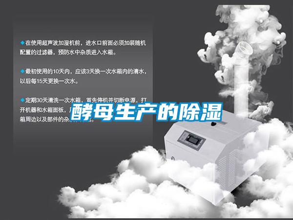 酵母生產的91看片在线下载