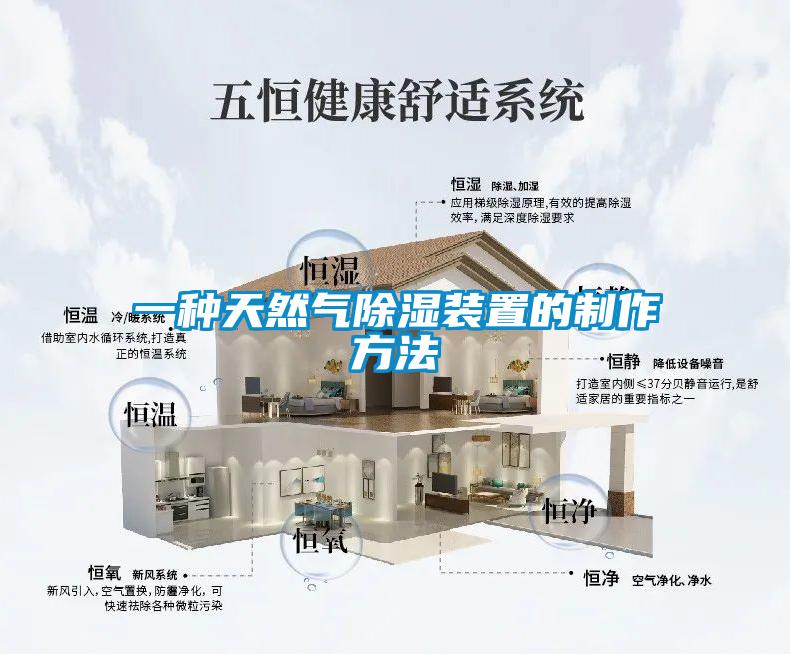 一種天然氣91看片在线下载裝置的製作方法