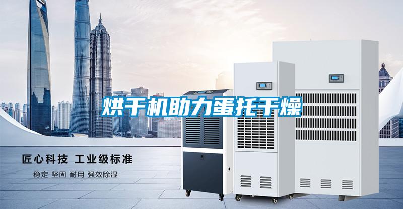烘幹機助力蛋托幹燥