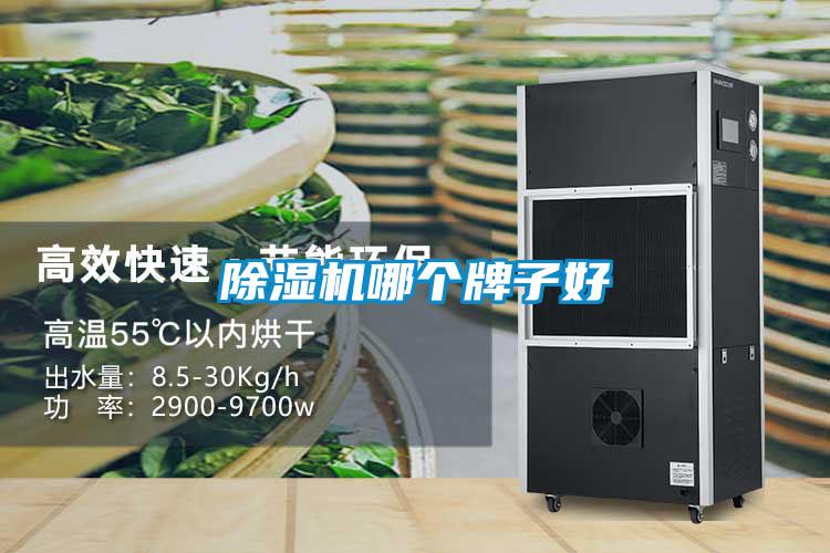 91看片在线下载機哪個牌子好