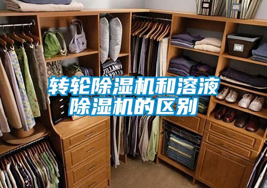 轉輪91看片在线下载機和溶液91看片在线下载機的區別