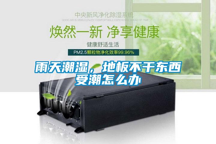 雨天潮濕，地板不幹東西受潮怎麽辦