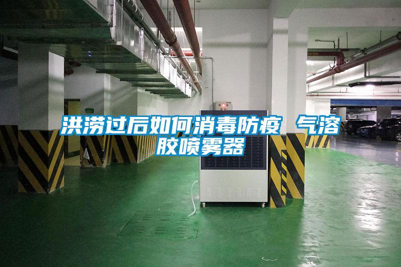 洪澇過後如何消毒防疫 氣溶膠噴霧器