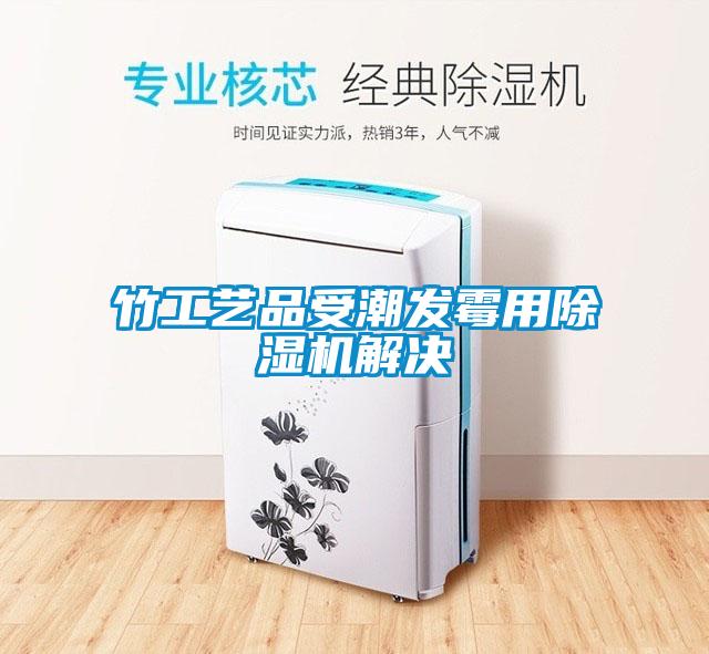 竹工藝品受潮發黴用91看片在线下载機解決
