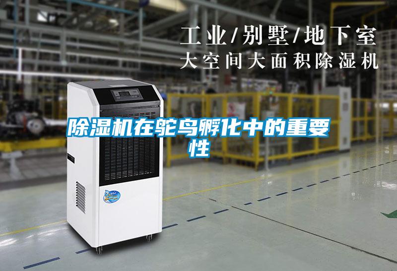 91看片在线下载機在鴕鳥孵化中的重要性