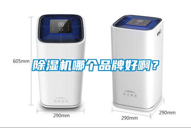 91看片在线下载機哪個品牌好啊？