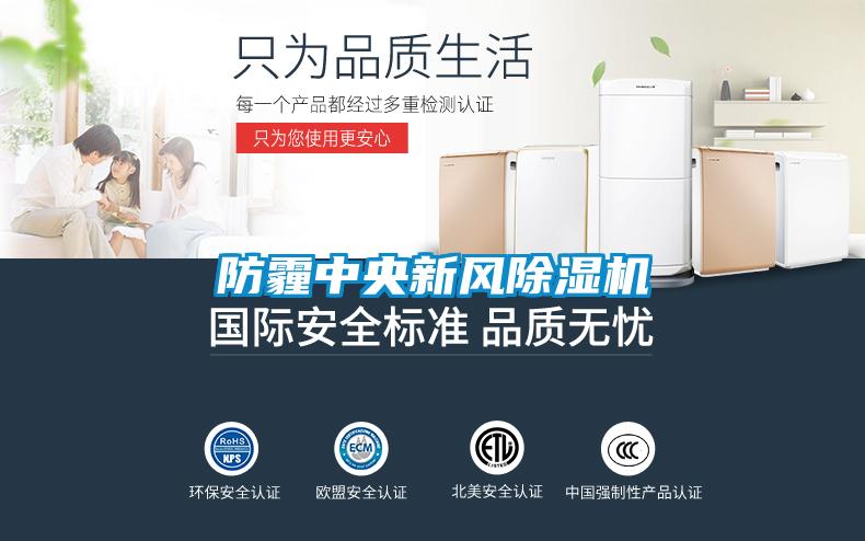 防霾中央新風91看片在线下载機