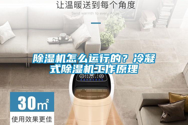 91看片在线下载機怎麽運行的？冷凝式91看片在线下载機工作原理
