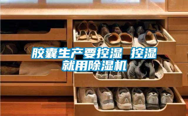 膠囊生產要控濕 控濕就用91看片在线下载機