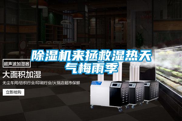 91看片在线下载機來拯救濕熱天氣梅雨季