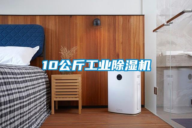 10公斤工業91看片在线下载機