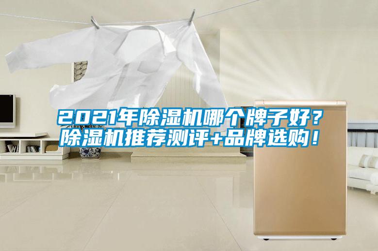 2021年91看片在线下载機哪個牌子好？91看片在线下载機推薦測評+品牌選購！