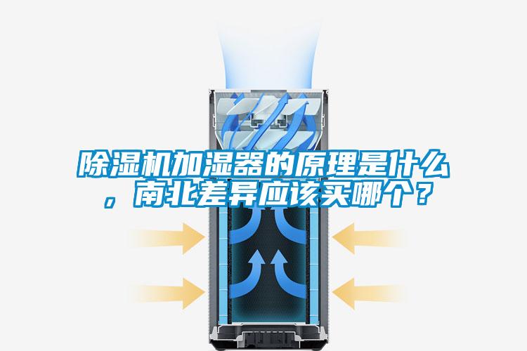 91看片在线下载機加濕器的原理是什麽，南北差異應該買哪個？