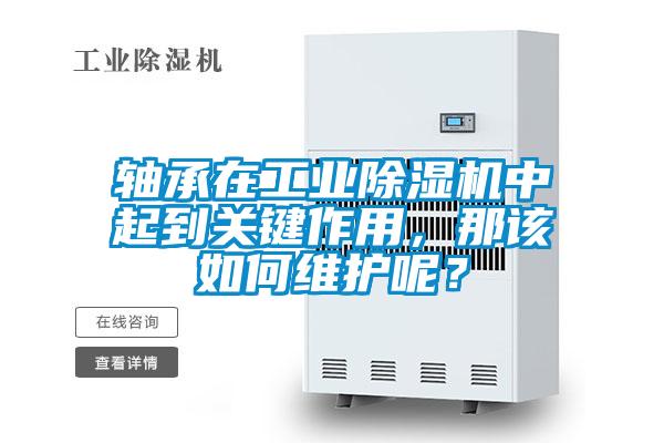 軸承在工業91看片在线下载機中起到關鍵作用，那該如何維護呢？