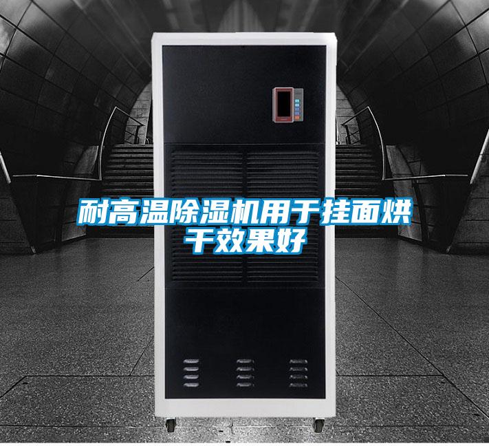 耐高溫91看片在线下载機用於掛麵烘幹效果好