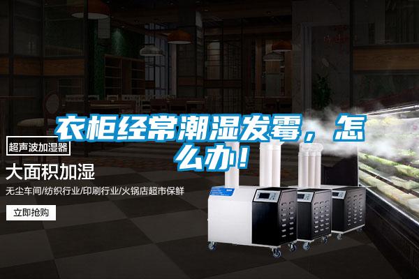 衣櫃經常潮濕發黴，怎麽辦！