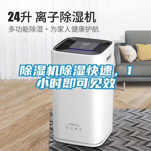 91看片在线下载機91看片在线下载快速，1小時即可見效