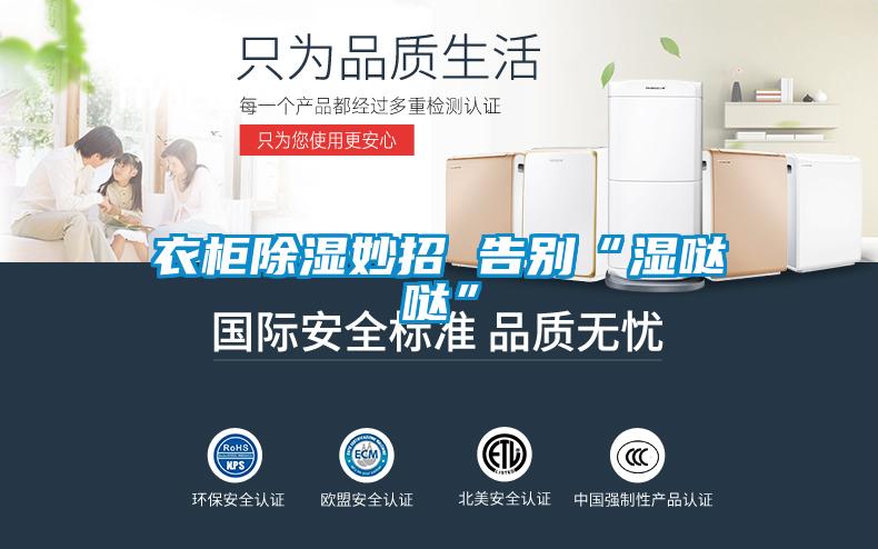 衣櫃91看片在线下载妙招 告別“濕噠噠”