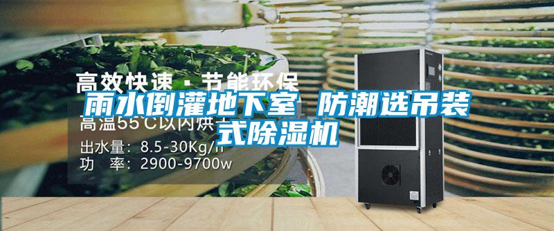 雨水倒灌地下室 防潮選吊裝式91看片在线下载機