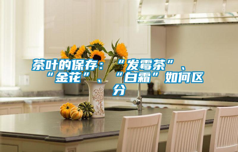 茶葉的保存：“發黴茶”、“金花”、“白霜”如何區分