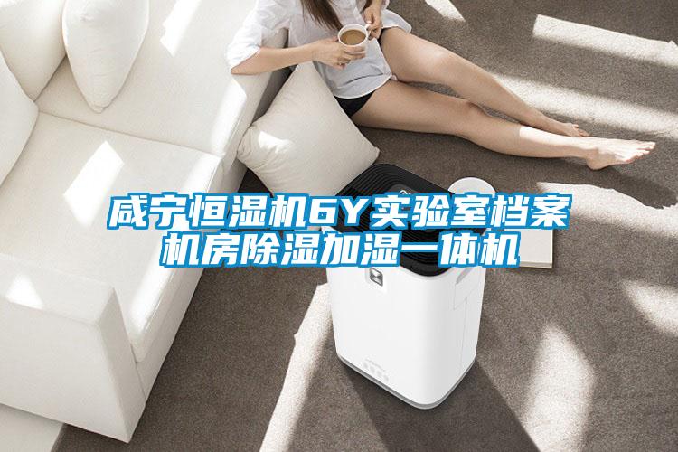 鹹寧恒濕機6Y實驗室檔案機房91看片在线下载加濕一體機