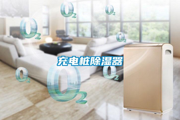 充電樁91看片在线下载器