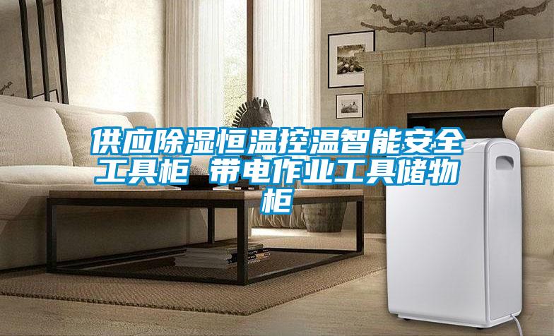 供應91看片在线下载恒溫控溫智能安全工具櫃 帶電作業工具儲物櫃