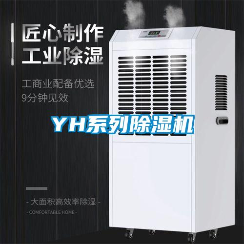 YH係列91看片在线下载機