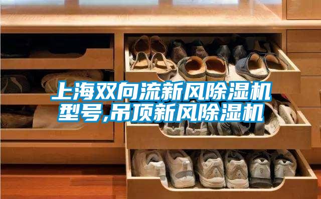 上海雙向流新風91看片在线下载機型號,吊頂新風91看片在线下载機