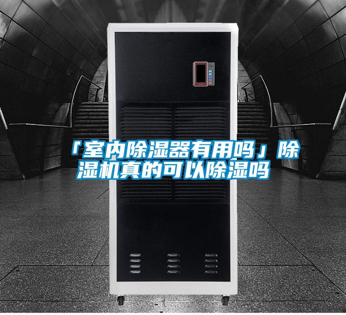 「室內91看片在线下载器有用嗎」91看片在线下载機真的可以91看片在线下载嗎