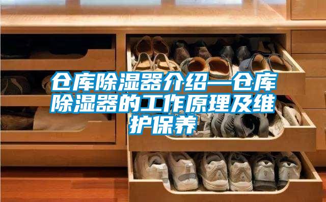 倉庫91看片在线下载器介紹—倉庫91看片在线下载器的工作原理及維護保養