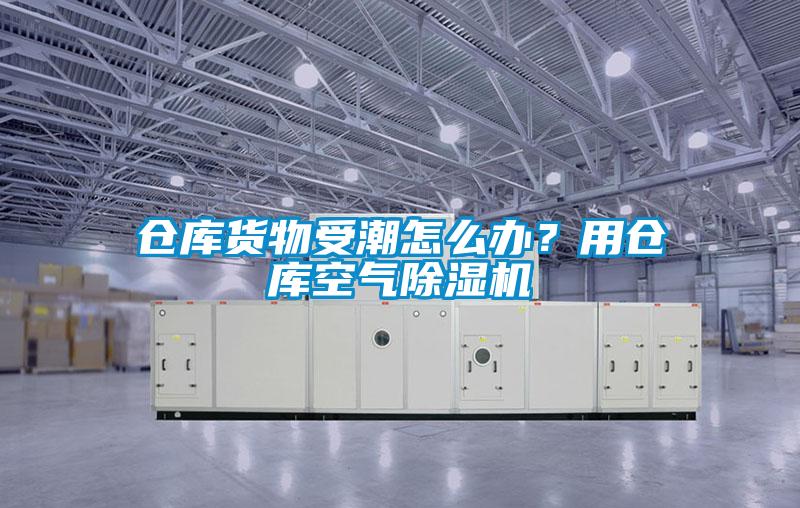 倉庫貨物受潮怎麽辦？用倉庫空氣91看片在线下载機