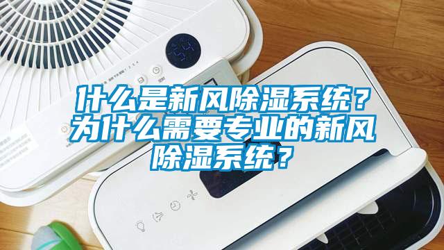 什麽是新風91看片在线下载係統？為什麽需要專業的新風91看片在线下载係統？
